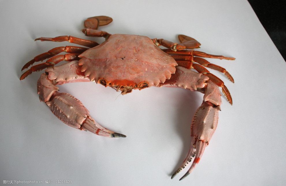 关键词:张牙舞爪 螃蟹 美味 海产品 粉色 熟制品 海洋生物 生物世界