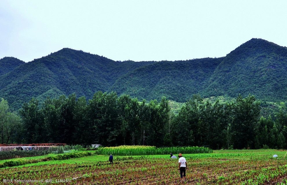 山下的农田图片