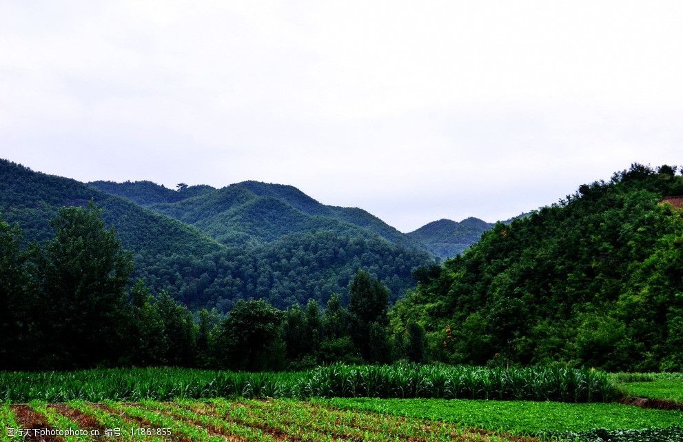 关键词:山下的农田 山岭 农田 田地 山峦 绿山 自然风景 自然景观