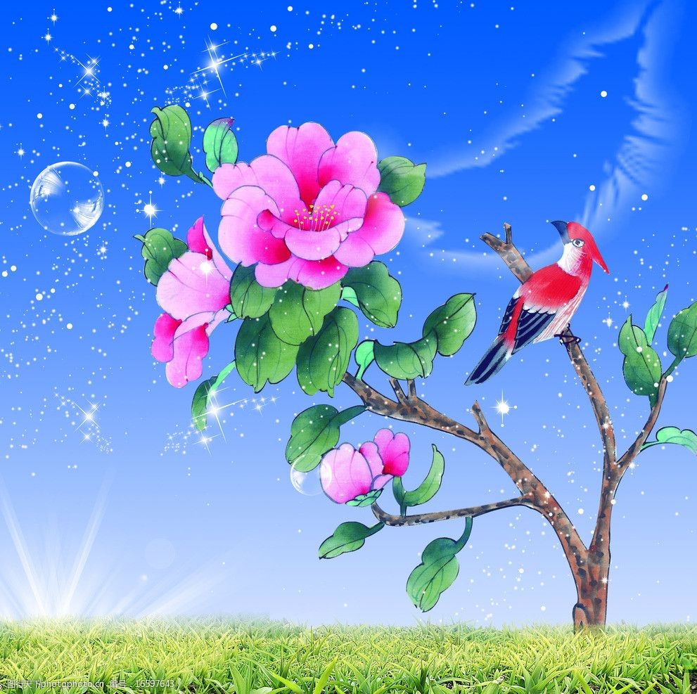 绚丽花鸟背景设计图片