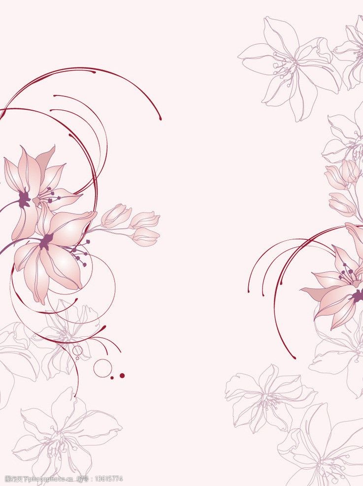 时尚百合花纹图片