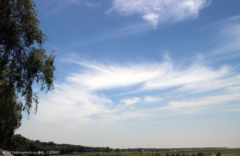 郑州黄河湿地公园图片图片-图行天下图库
