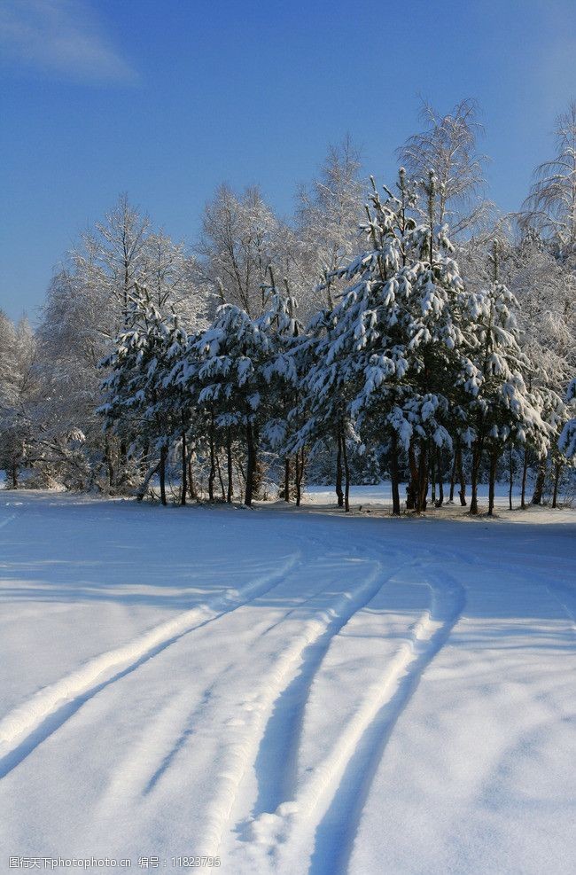 冬季冰雪风光图片图片-图行天下图库