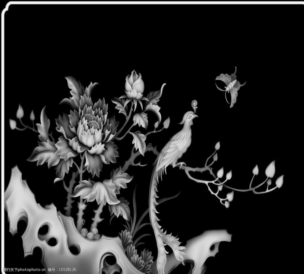 花鸟灰度图图片