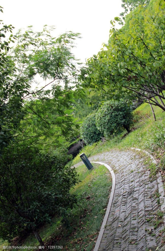 关键词:石湖小径 石湖 公园 风景 小路 石径 绿树 草丛 背景 素材