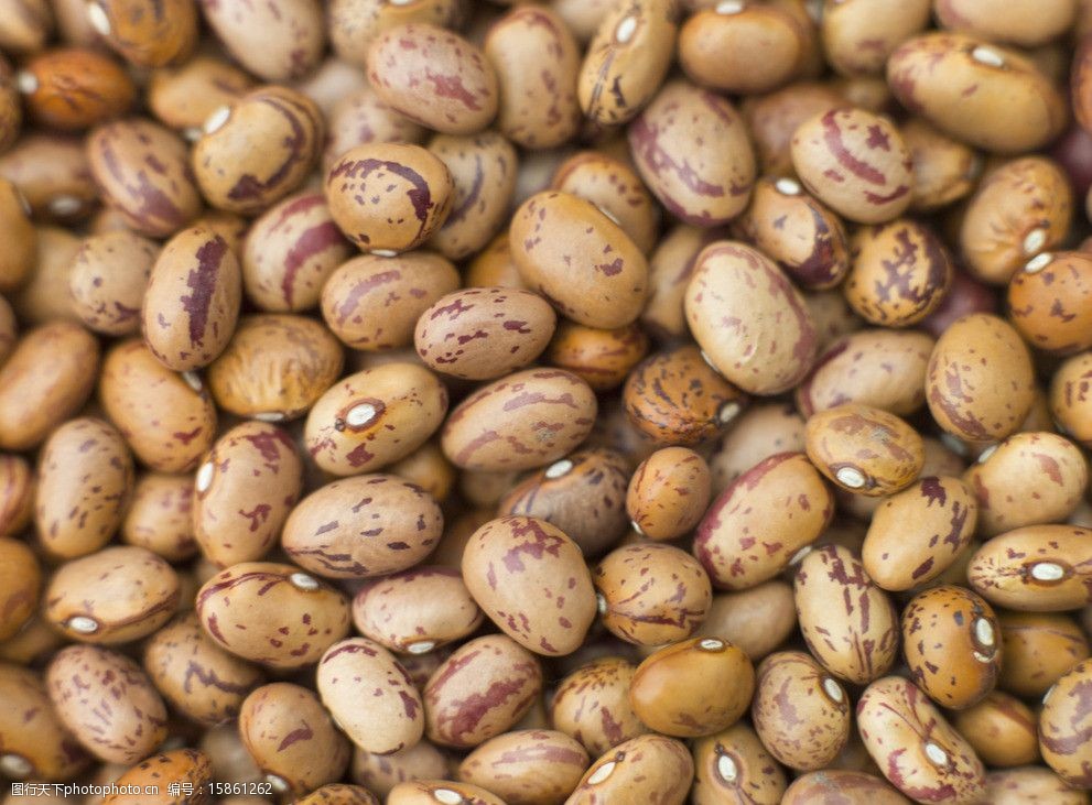 豇豆豇豆粒图片