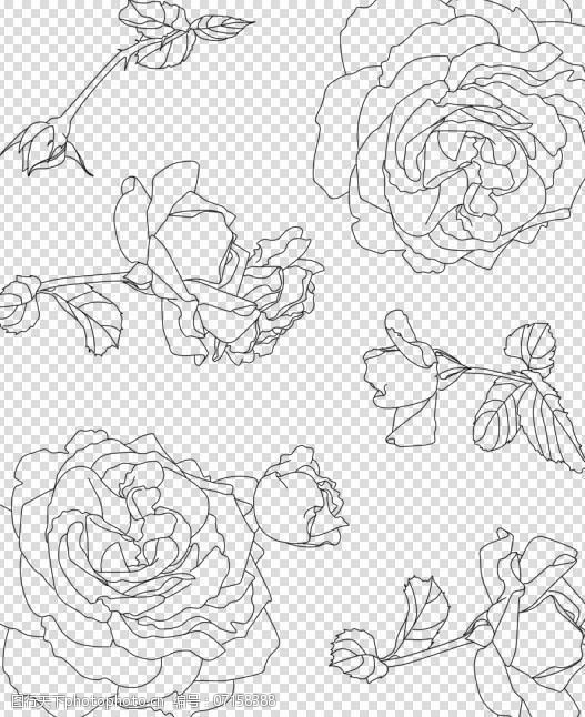 玫瑰素材笔刷情人节必备素材图片