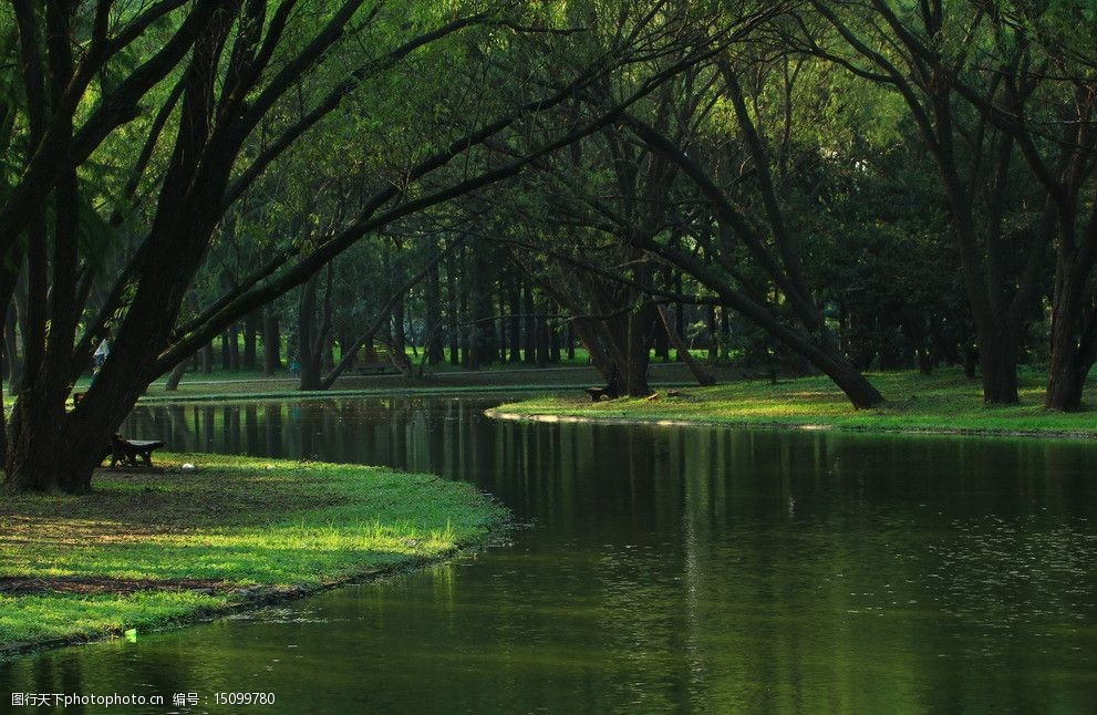 关键词:清澈小溪 小溪 清澈 树木 宁静 草地 林荫小道 绿色 自然风景