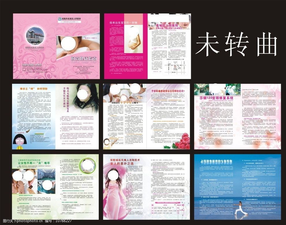 妇科健康手册图片