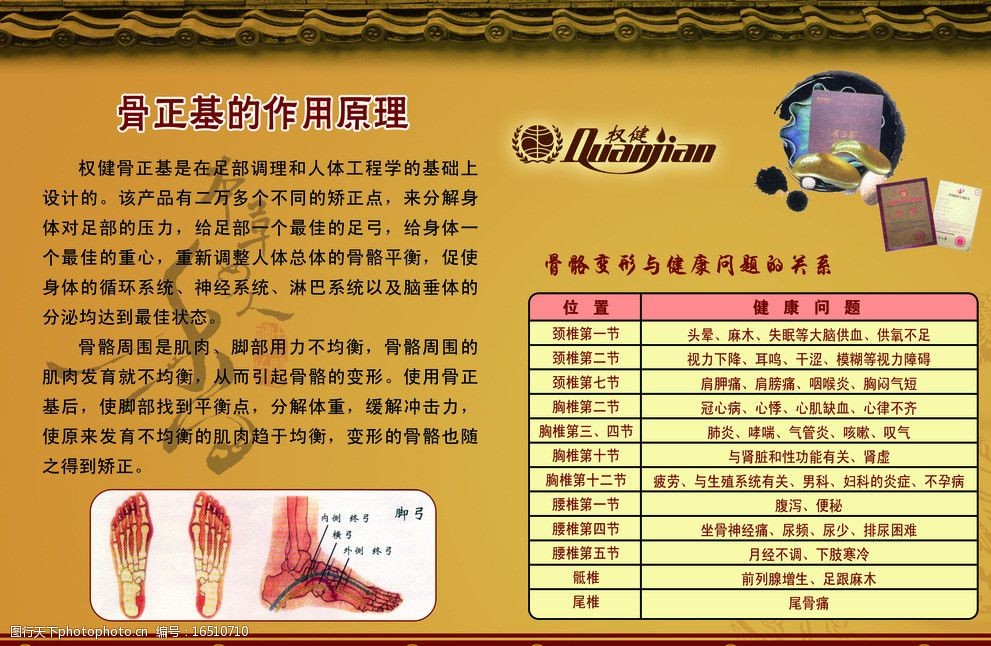 骨正基的作用原理图片