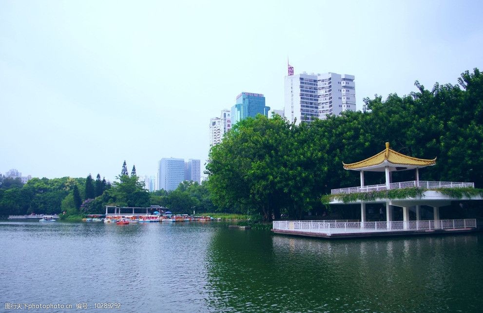 荔枝公园楼景图片