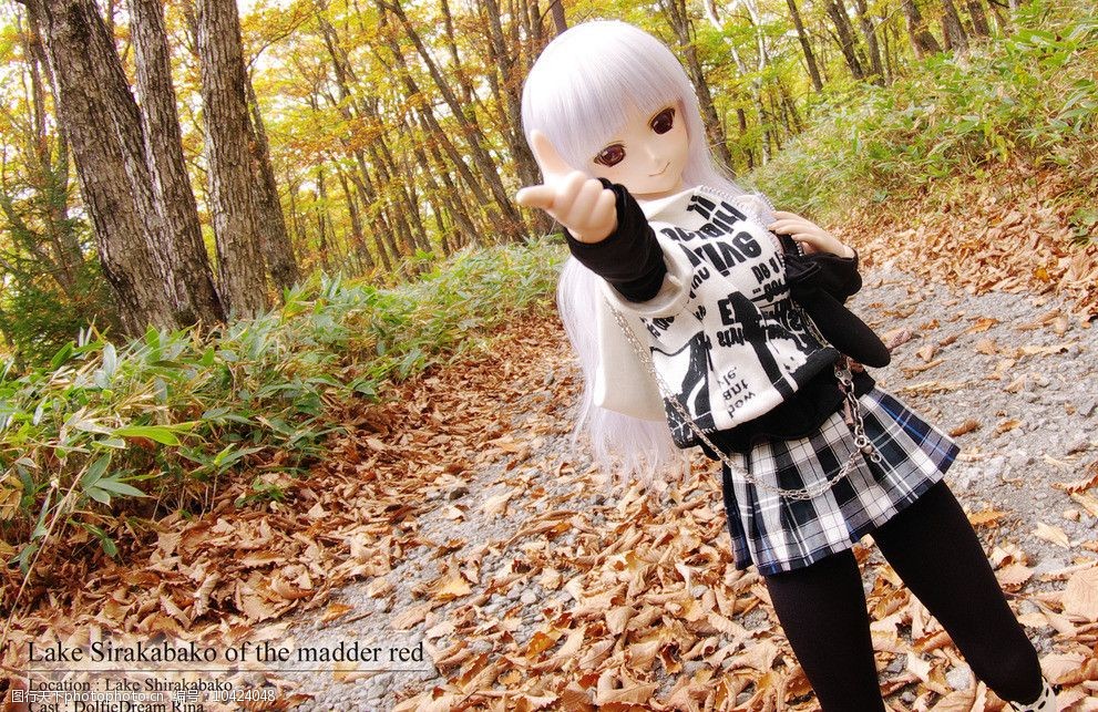 球型关节娃娃图片