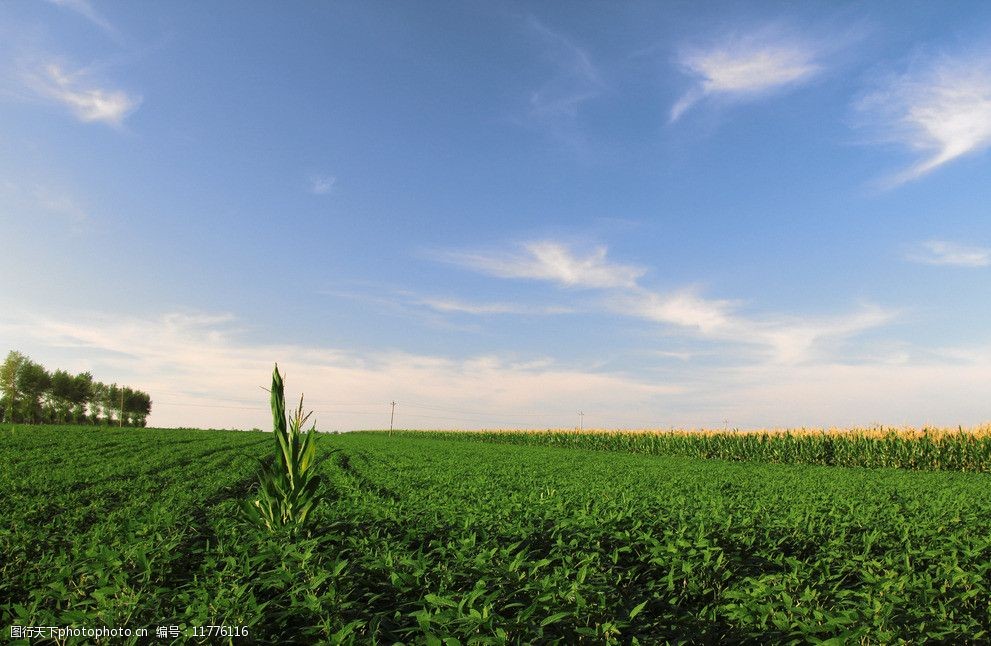 关键词:草原风景 草原风光 草原春天 蓝天草原 草原 田地 自然风景