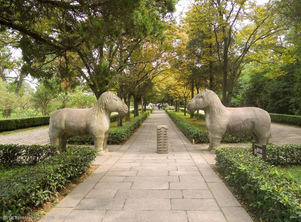 关键词:石象路神道 明孝陵 石兽 石马 神道 初秋 绿树 雕塑 建筑园林